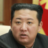 ‘Great turmoil’: Dozens die in North Korea as Kim admits scale of COVID outbreak