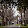 Princes Hill is one of the inner north’s hidden gems.
