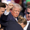 Donald Trump blames Biden, Harris for failed assassination attempt