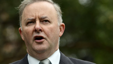 Anthony Albanese said Mr Setka's alleged comments about Rosie Batty were the final straw.