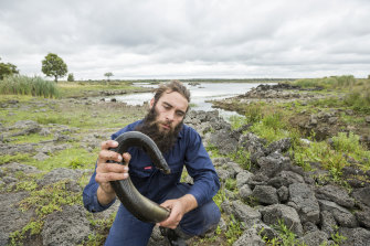 Indigenous ranger Aaron Morgan is among the new generation of Gunditjmara people caring for Budj Bim landscape and its network of ancient weirs and eel traps. 