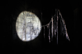 Julia Davis and Lisa Jones, Thresholds - A Chorus #28/01/17.2, 2017.