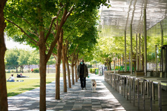 Klyde Warren Park in Dallas is an example of what could be achieved at Langley Park. 