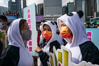 Pro-Beijing supporters dressed as pandas at a campaign rally on Thursday December 16. 
