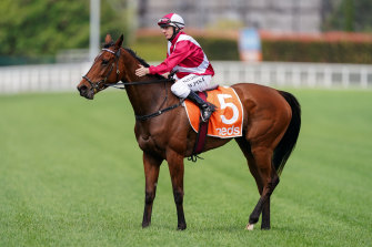 Willie Pike on Arcadia Queen after winning last year’s Caulfield Stakes.