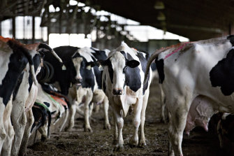 Fonterra says farmgate milk prices are rising. 
