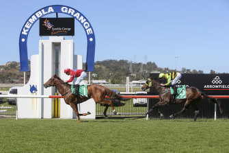 A nine-race card has been set down for Kembla Grange on Thursday.