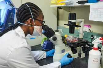 A technician inspects samples during COVID-19 antibody neutralisation testing at the African Health Research Institute (AHRI) in Durban, South Africa.