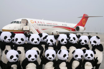 China created the state-owned Commercial Aircraft Corp of China (COMAC) in 2008 and has since ploughed tens of billions of dollars into COMAC’s development.