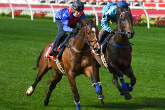Zaaki and stablemate Mo’unga, right, have a spin around Moonee Valley on Tuesday.