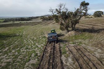 A 400-hectare tree-planting project in Sukey Hill, just east of Cranbrook in  southern WA, that Greening Australia is carrying out for Woodside, part of a 5000-hectare commitment. 
