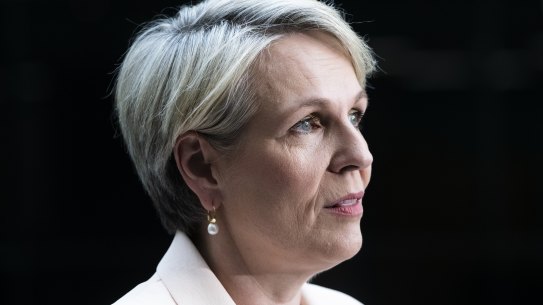 Environment Minister Tanya Plibersek 