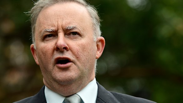 Anthony Albanese said Mr Setka's alleged comments about Rosie Batty were the final straw.