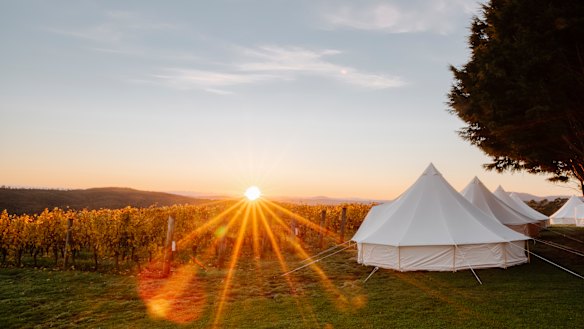 Australia's share of the imported wine market in China has jumped to 25.7 per cent.