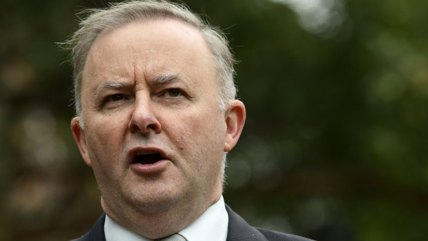 Labor leader Anthony Albanese .