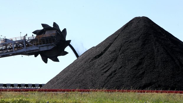 The Greens want to prevent any investment in new coal projects. 