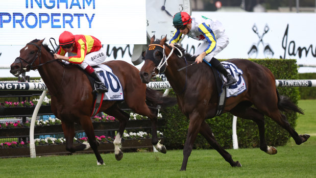 Loch Eagle (outside) wins The Ingham at Randwick on Saturday.