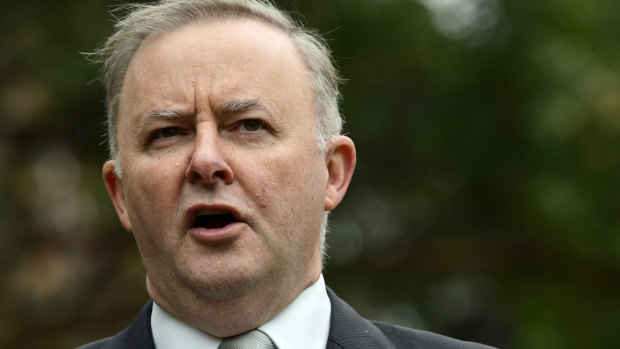 Labor leader Anthony Albanese must decide whether to back tax cuts.