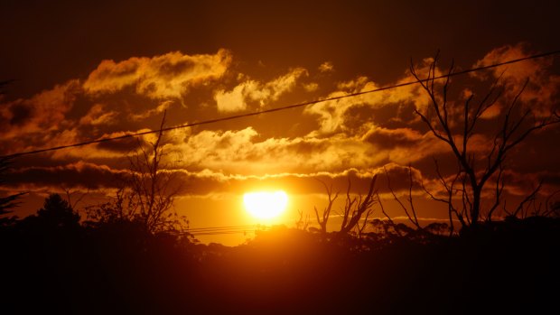 The Australian Industry Group wants the Queensland government to investigate the costs of not having daylight saving.