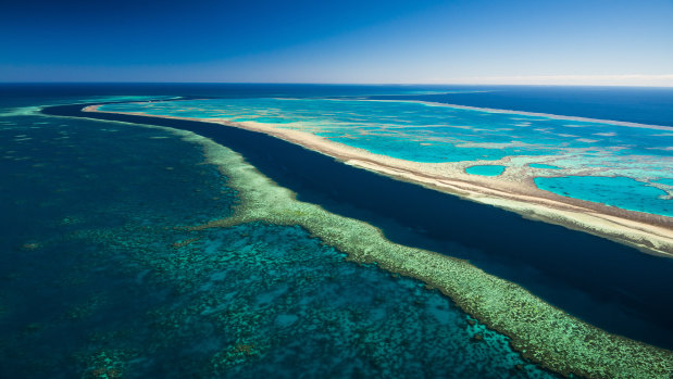 Giving a huge wad of cash to the Great Barrier Reef Foundation was expected to be a 'trial case' for other big government projects, a document shows.