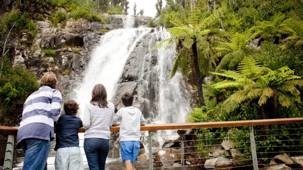 Steavenson Falls.