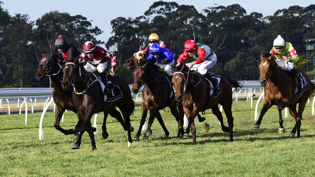 Eight races are scheduled for Warwick Farm on Monday.