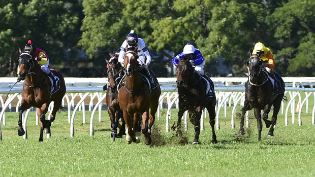 There are seven races scheduled for Warwick Farm today.