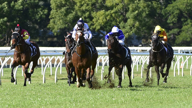 Muddy marvel: Black Magnum gave nothing else a chance last start at Warwick Farm and is the top pick in race 5.