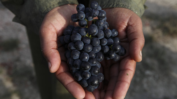 Canada has agreed to lift trade restrictions on Australian wine. 