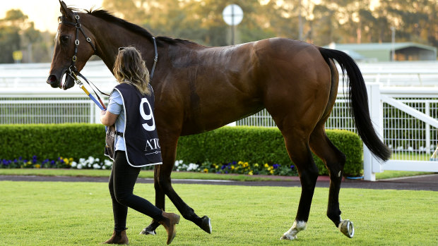 There are seven races scheduled for Sydney's Warwick Farm.