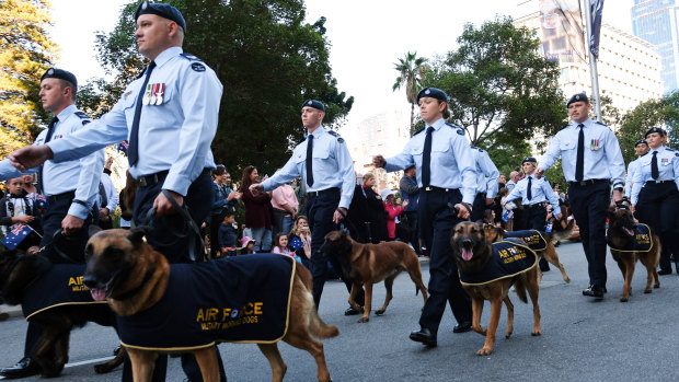 Airforce servicemen march together with the Australian Airforce military working dogs. 