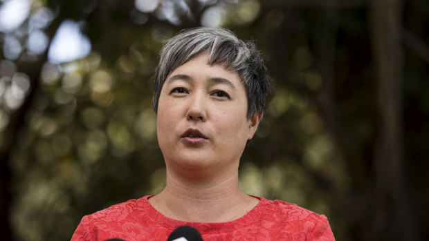 Greens MP Jenny Leong speaking to the media on Tuesday. 