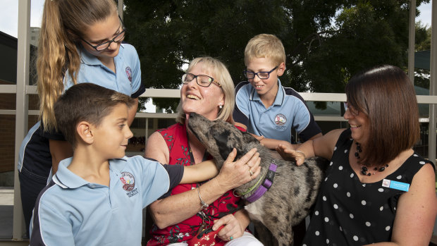 Holy Spirit's therapy dog Rosie with (clockwise from left) Year 4 student Atticus Donnelly, 9 years old, Mikayla Ford, 11 years old,  student welfare officer Sharon Harrison, Year 6 student Hamish Ellison, 11 years old, and deputy principal Anna D'Amico. 