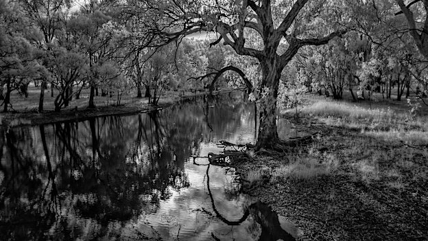 Poison Waterholes Creek, Narrandera NSW,  where horrific atrocities committed by white settlers against the Indigenous people took place around 1820.