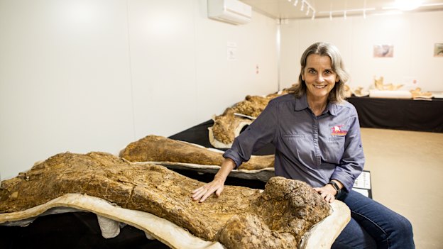 Robyn Mackenzie with Cooper’s actual fossils in the Eromanga Natural History Museum’s Holotype Room.