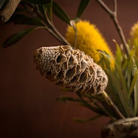 The Banksia Pop dessert.
