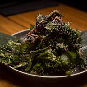 Rice Paper Scissors’ kangaroo salad.