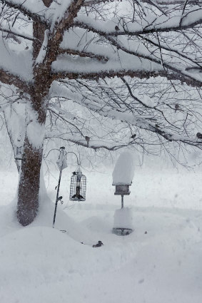 Cuma günü New York, Orchard Park'ta bir evin önündeki kuş yemliklerinde kar birikti.