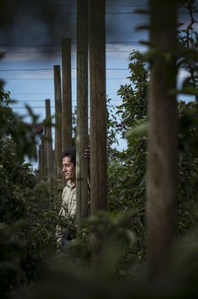 Nabi Baqiri at his farm.