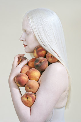 Petrina Hicks, Bruised peaches 2018, (detail) from the Still Life Studio series 2018 ed. NGV 