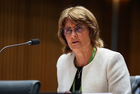 Reserve Bank governor Michele Bullock appears before the House economics committee.