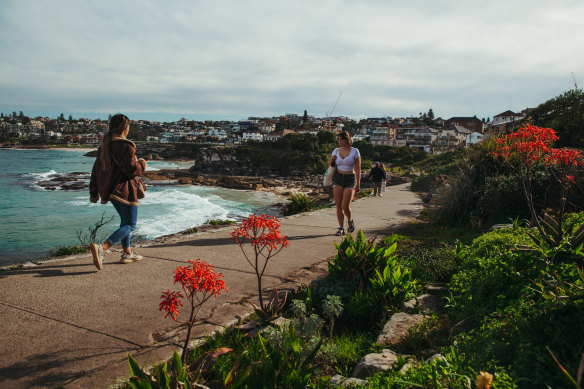 Warmer-than-expected weather has brought out flowers and locals.