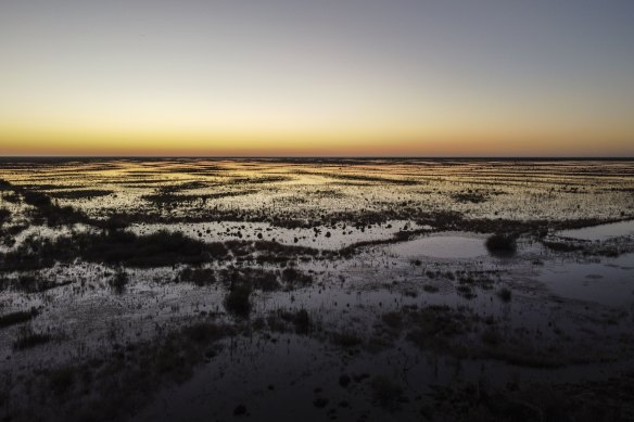 Some of the water that flows through the 88,000 hectare property is destined for the state-owned Yanga National Park, while part of it will flow into the regenerating wetlands.