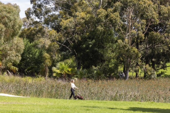 Sir William Fry Reserve, where a Suburban Rail Loop station will be built.  