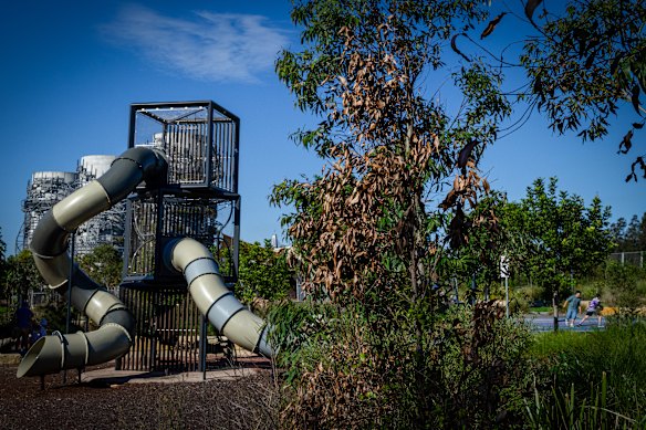 Trees begin to die near the Green Link Bridge pedestrian walkway in Annandale. 