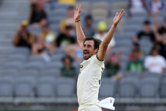 Howzat for a contract: Mitchell Starc.