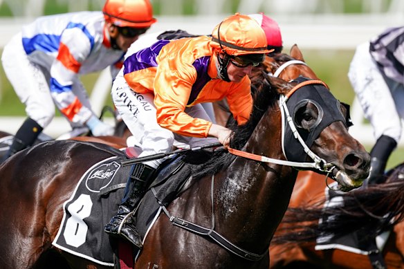 Dirty Work, with jockey William Pike, won the Schillachi Stakes. 