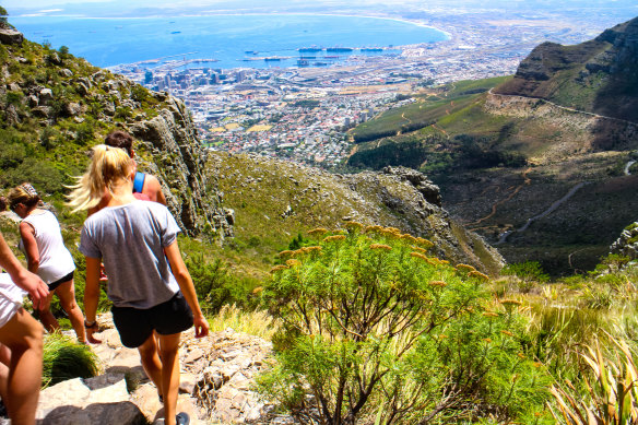 Hiking down Table Mountain (one way tickets are available on the cable way).