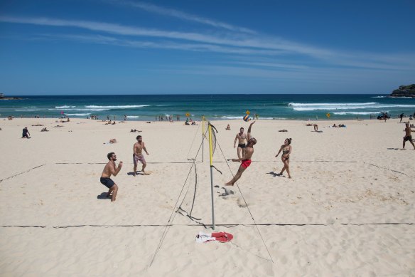 The volleyball nets on the sand at Bondi are about as useful for public safety as the shark nets.