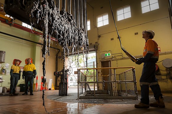 Wet wipes pulled from the network at the Luggage Point water treatment plant.